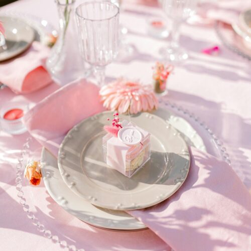 pexels-feyza-simsek-432255837-16933512 pexels-feyza-simsek-432255837-16933512